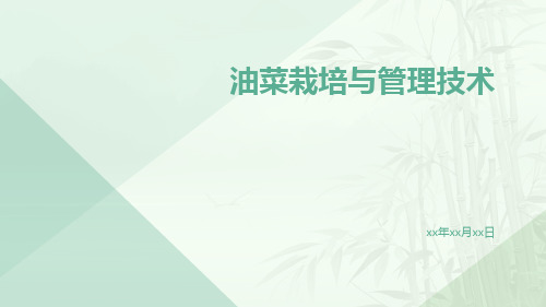 油菜栽培与管理技术