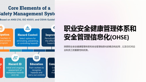 职业安全健康管理体系和安全管理信息化(OHSE)