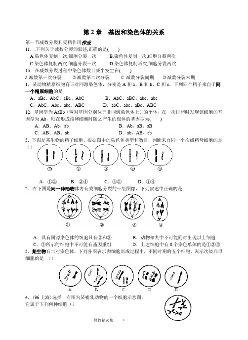 第二章基因与染色体的关系 (3)