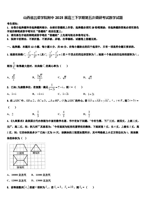 山西省吕梁学院附中2025届高三下学期第五次调研考试数学试题含解析