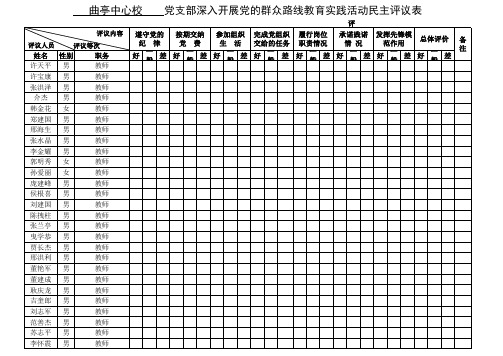 党组织等基层党组织民主评议表