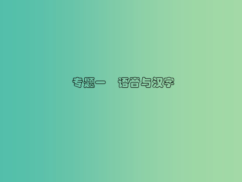中考语文总复习 第二部分 积累与运用 专题一 语音与汉字习题  新人教版