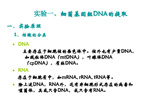 细菌基因组DNA的提取