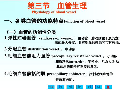 关于 血管生理 的相关问题