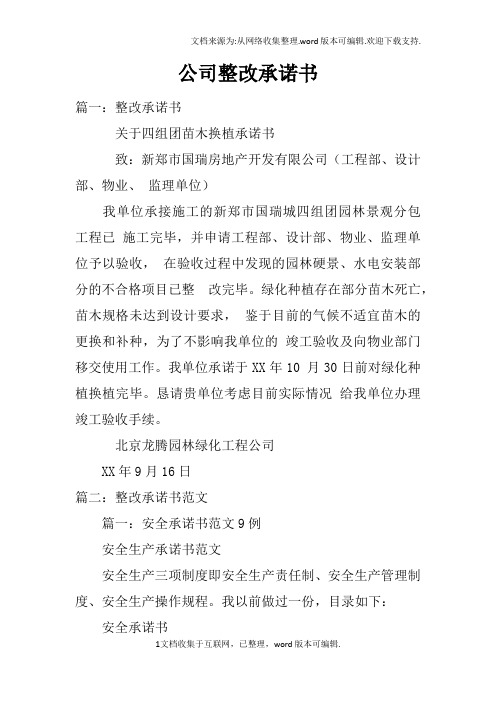 公司整改承诺书doc