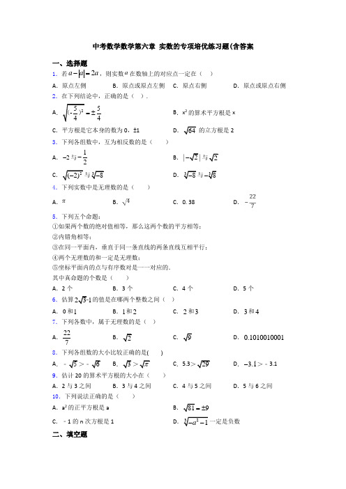 中考数学数学第六章 实数的专项培优练习题(含答案