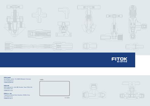 FITOK精简样本中文版A