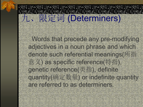 九限定词DeterminersP上课讲义