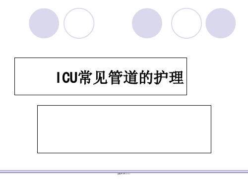 ICU常见管道的护理ppt课件