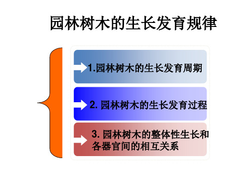 园林树木生命周期