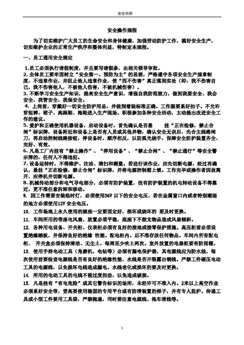 安全手册整版