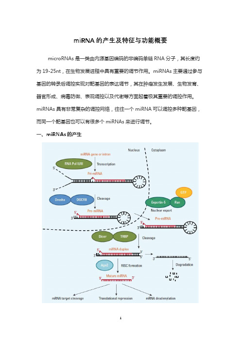 miRNA的产生及特征与功能概要