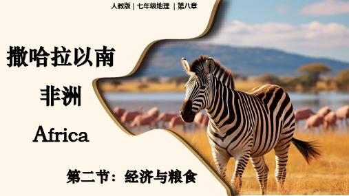 8.3撒哈拉以南非洲+(第二课时)课件-2023-2024学年七年级地理下册人教版