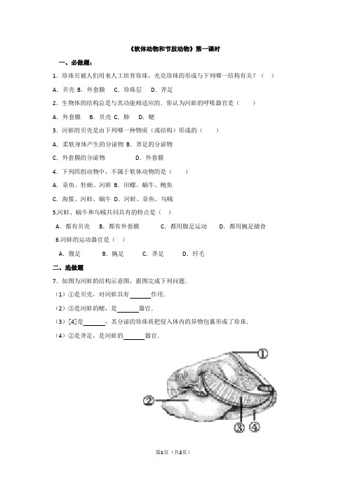 软体动物和节肢动物练习