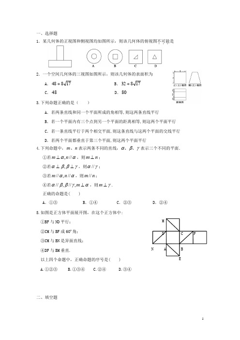 广东省东莞市高三数学 小综合专题练习 立体几何 理 新人教版