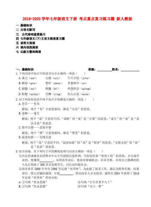 2019-2020学年七年级语文下册 考点重点复习练习题 新人教版
