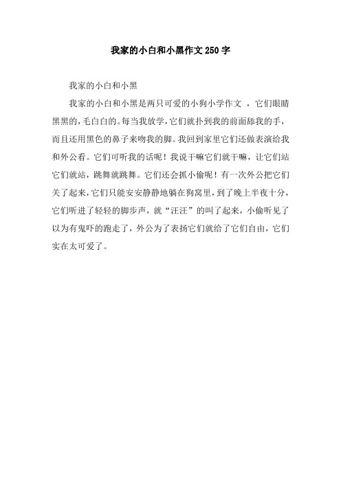 我家的小白和小黑作文250字.docx