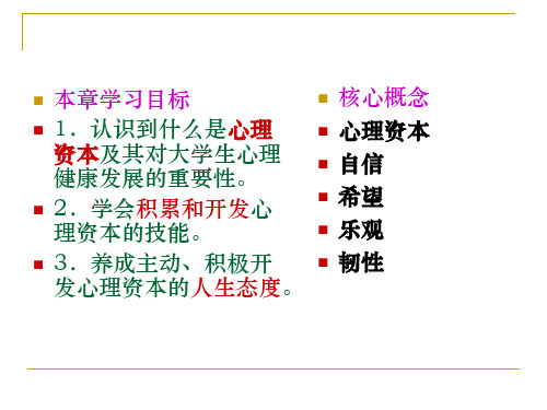 第十章大学生成功人生的心理资本czlo