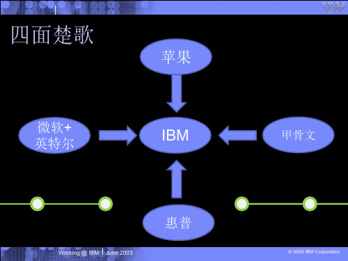 IBM的商业案例分析陈凯强