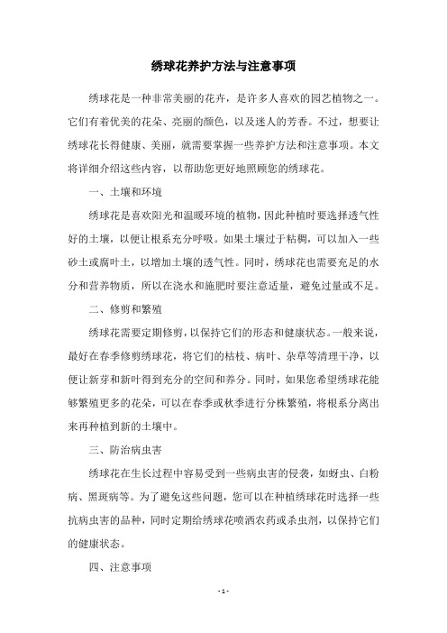 绣球花养护方法与注意事项