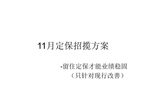 11月定保招揽方案