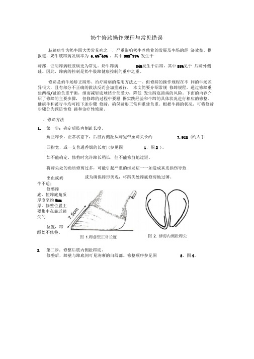 奶牛修蹄操作规程与常见错误