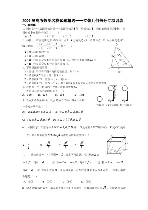 2009届高考数学名校试题精选立体几何部分专项训练