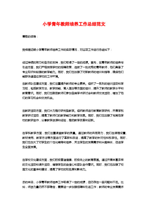 小学青年教师培养工作总结范文