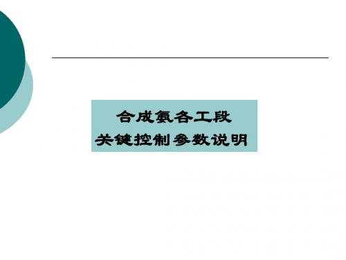 大学课程_合成氨各工段关键控制参数说明