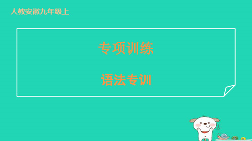 安徽省2024九年级英语全册专项训练语法专训课件新版人教新目标版