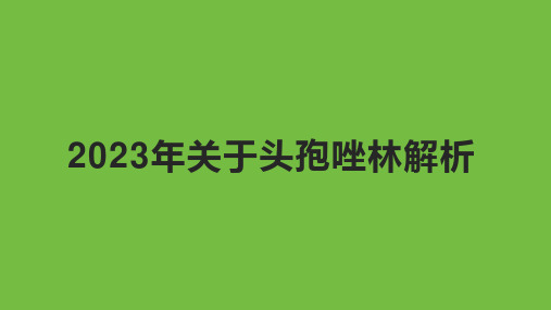 2023年关于头孢唑林解析