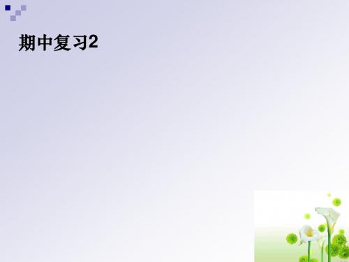 期中复习2