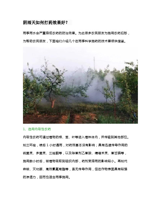 阴雨天如何打药效果好