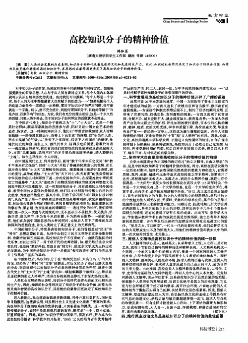 高校知识分子的精神价值