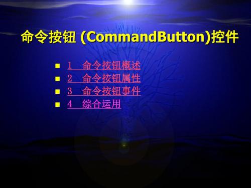 补充VB常用控件性-按钮-文档资料