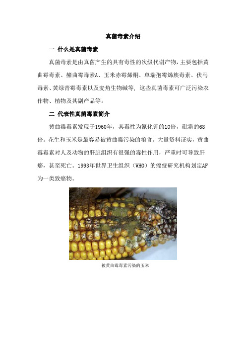 真菌毒素(mycotoxin)是由真菌产生的具有毒性的次级代谢