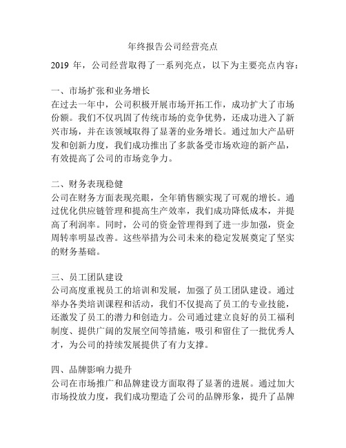 年终报告公司经营亮点