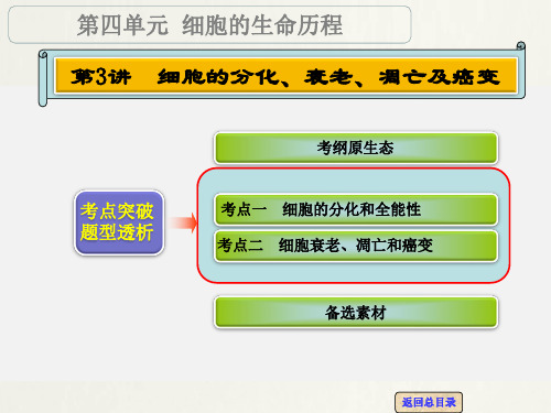 高考生物 一轮复习 第3讲 细胞的分化、衰老、凋亡及癌变