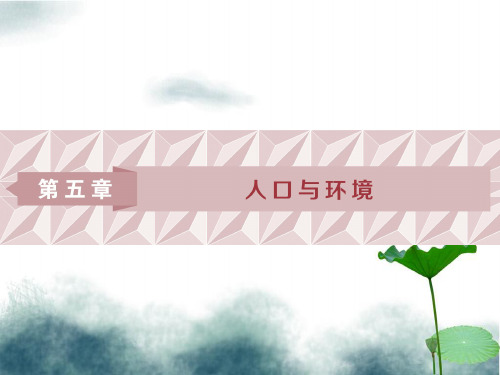 2019高考地理一轮复习第5章人口与环境第18讲人口增长模式与人口合理容量课件湘教版