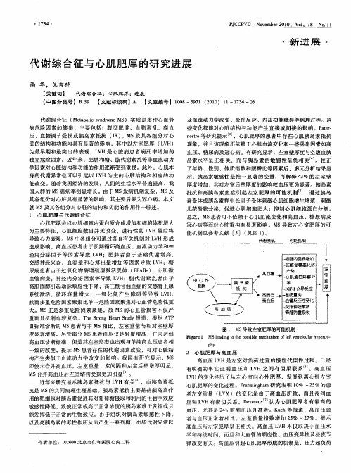 代谢综合征与心肌肥厚的研究进展