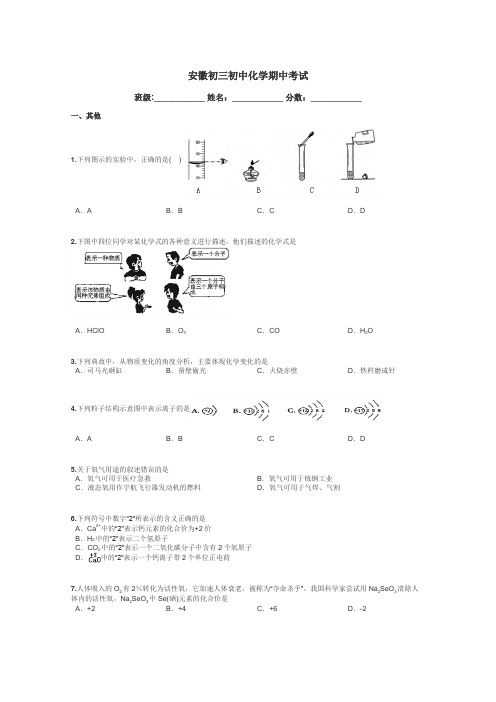 安徽初三初中化学期中考试带答案解析
