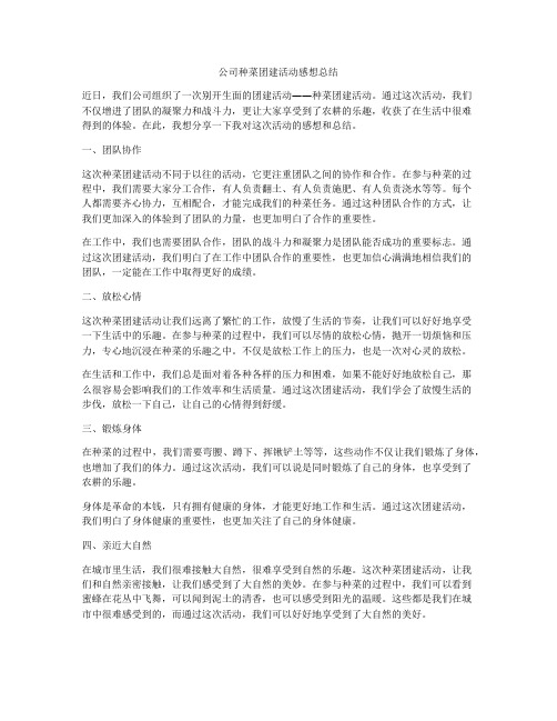 公司种菜团建活动感想总结