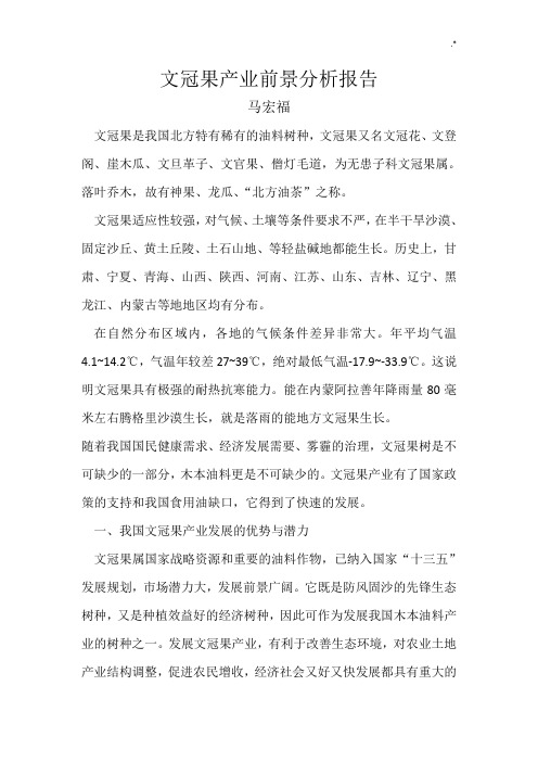 文冠果产业前景分析结果汇报