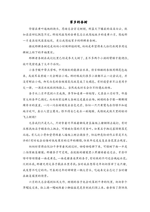 我爱家乡的杏树作文600字