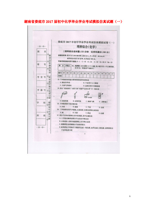 湖南省娄底市2017届初中化学毕业学业考试模拟仿真试题(一)(扫描版)