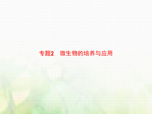 高中生物人教版选修1课件：专题2 课题1 微生物的实验室培养