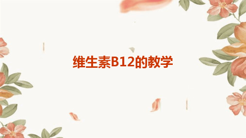 维生素B12的教学PPT