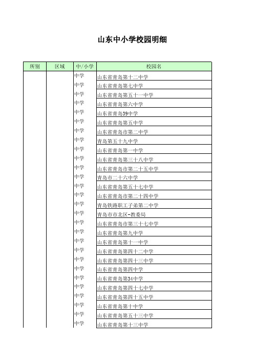 山东中小学明细表(2)