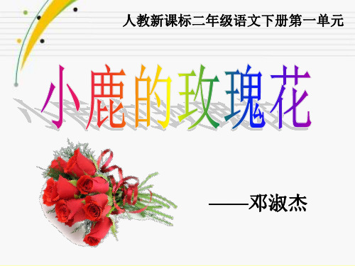 《小鹿的玫瑰花》教学.PPT课件