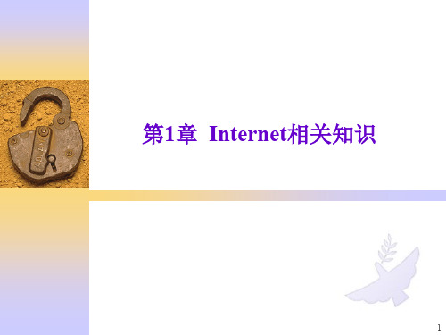 第1章Internet相关知识精品文档